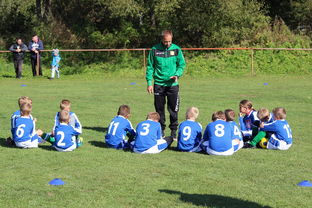 乐鱼体育官网-中国篮球教练员技术战术创新能力提升路径，篮球教练发展